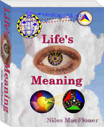 cover of Life's Hidden Meaning